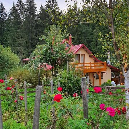 Forest Vibes Spa Cimpu lui Neag Экстерьер фото