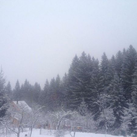 Forest Vibes Spa Cimpu lui Neag Экстерьер фото