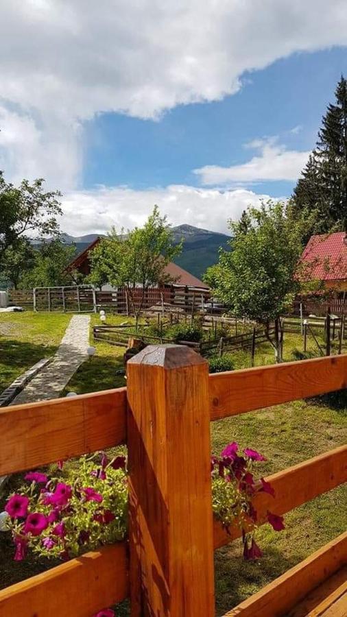 Forest Vibes Spa Cimpu lui Neag Экстерьер фото