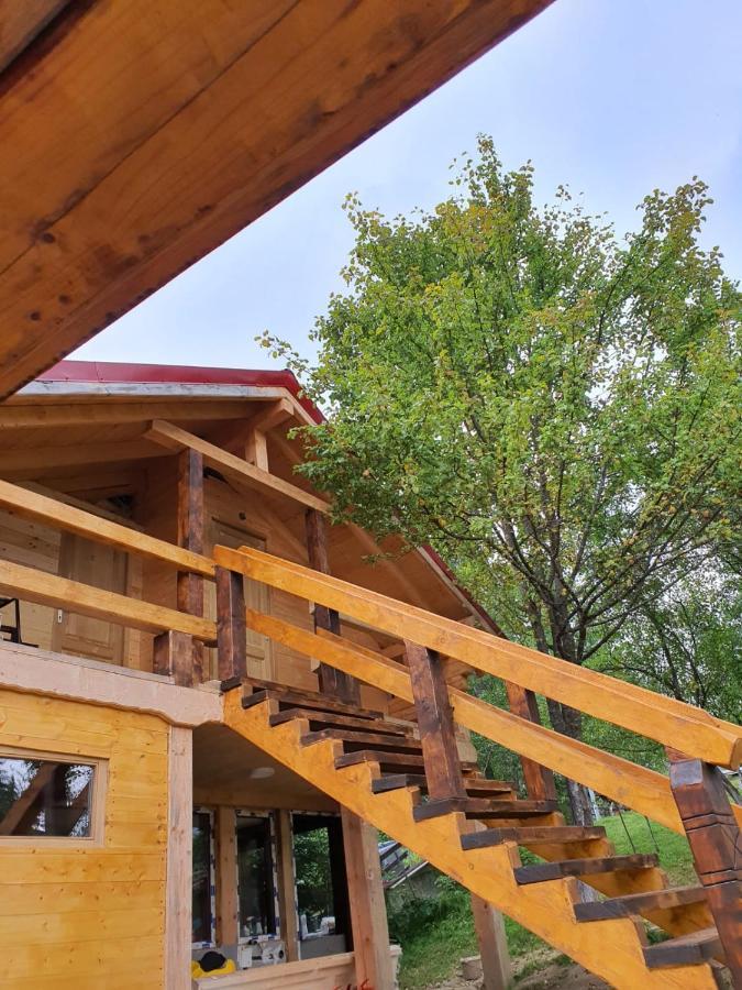Forest Vibes Spa Cimpu lui Neag Экстерьер фото
