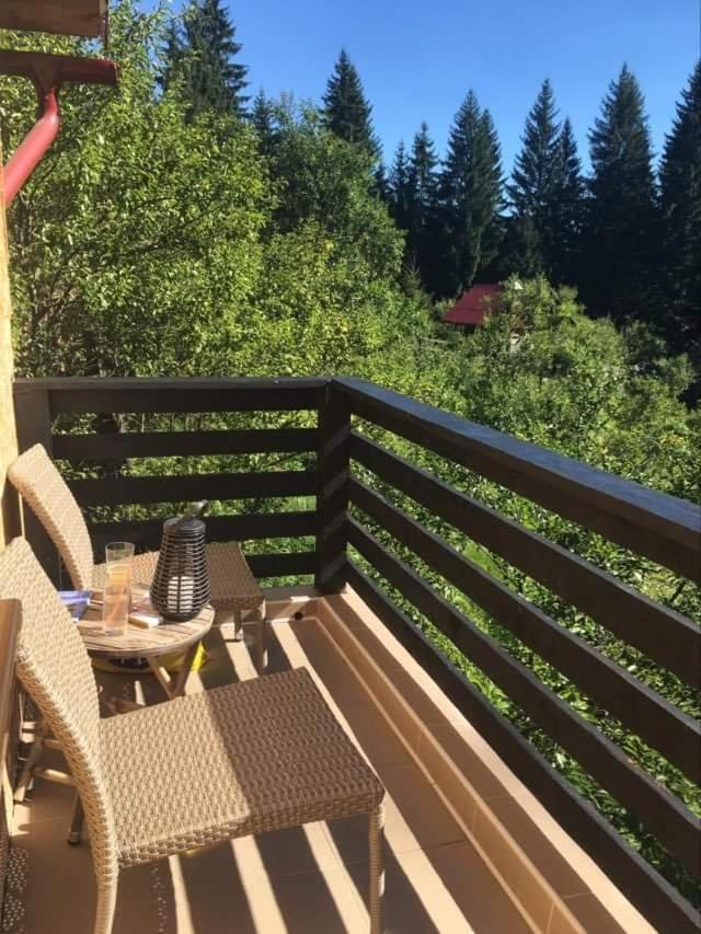 Forest Vibes Spa Cimpu lui Neag Экстерьер фото