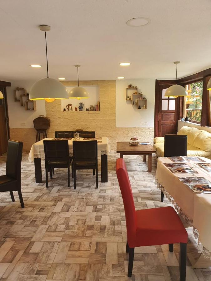 Forest Vibes Spa Cimpu lui Neag Экстерьер фото