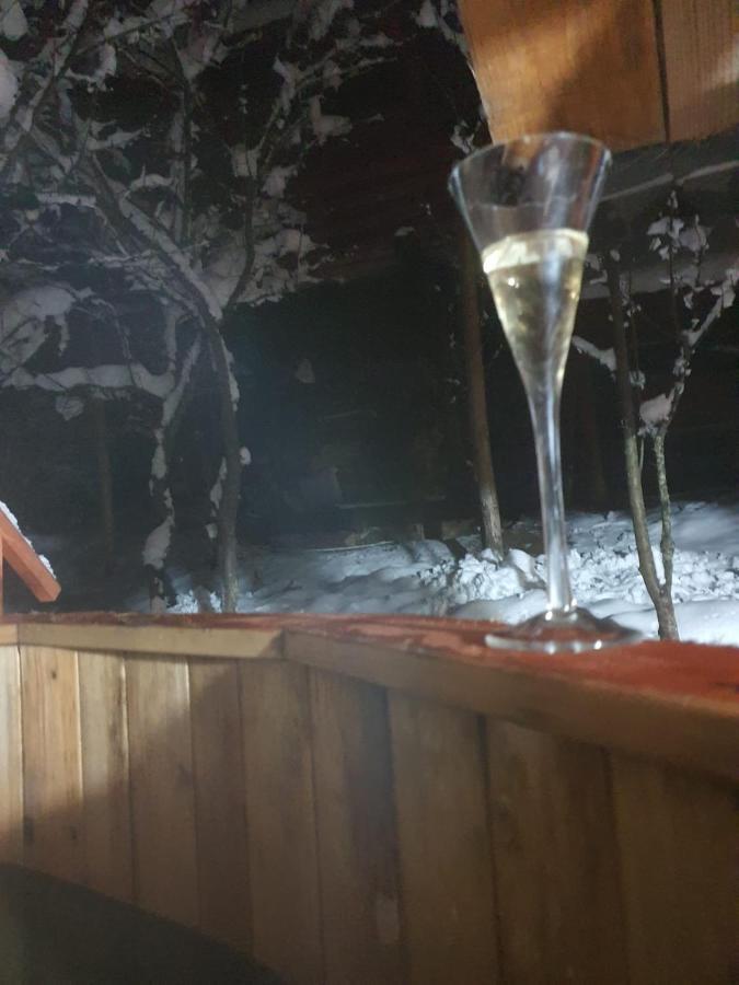 Forest Vibes Spa Cimpu lui Neag Экстерьер фото