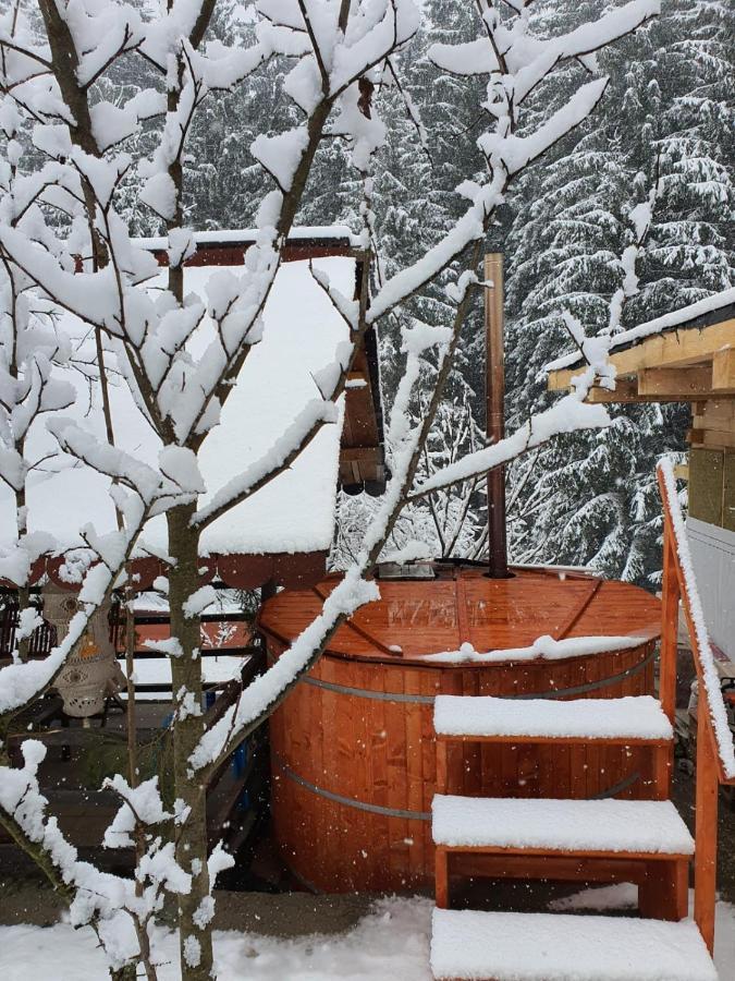 Forest Vibes Spa Cimpu lui Neag Экстерьер фото
