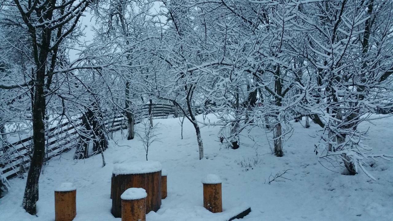 Forest Vibes Spa Cimpu lui Neag Экстерьер фото