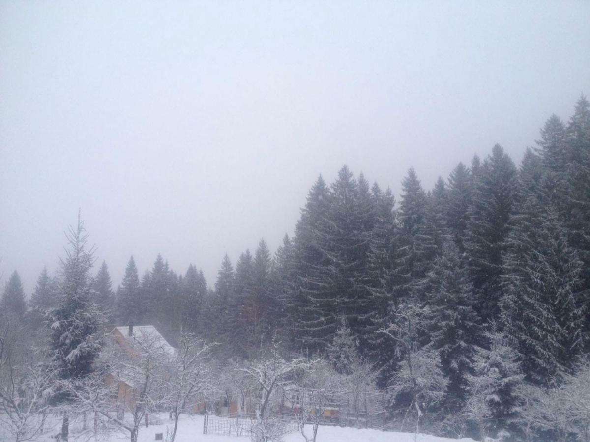 Forest Vibes Spa Cimpu lui Neag Экстерьер фото