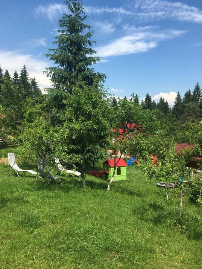 Forest Vibes Spa Cimpu lui Neag Экстерьер фото