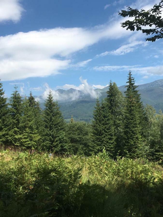 Forest Vibes Spa Cimpu lui Neag Экстерьер фото