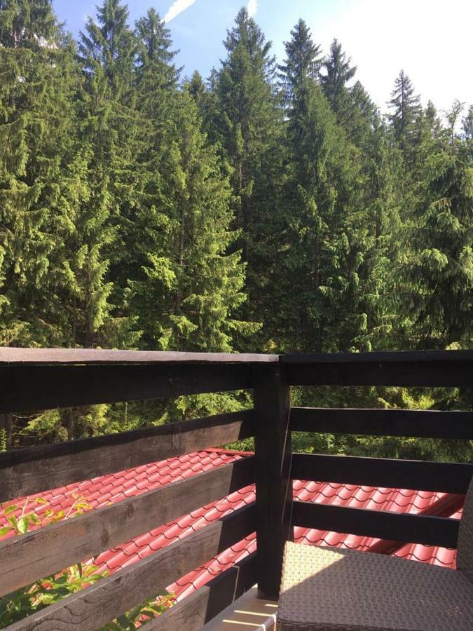 Forest Vibes Spa Cimpu lui Neag Экстерьер фото