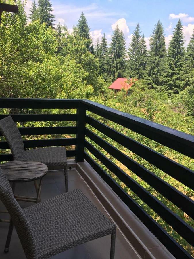 Forest Vibes Spa Cimpu lui Neag Экстерьер фото