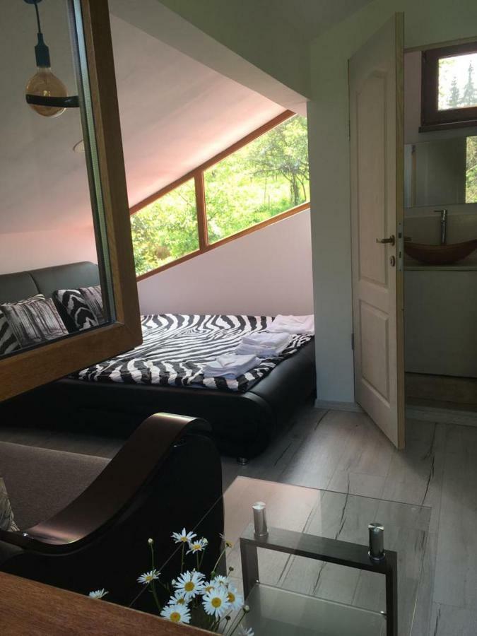 Forest Vibes Spa Cimpu lui Neag Экстерьер фото