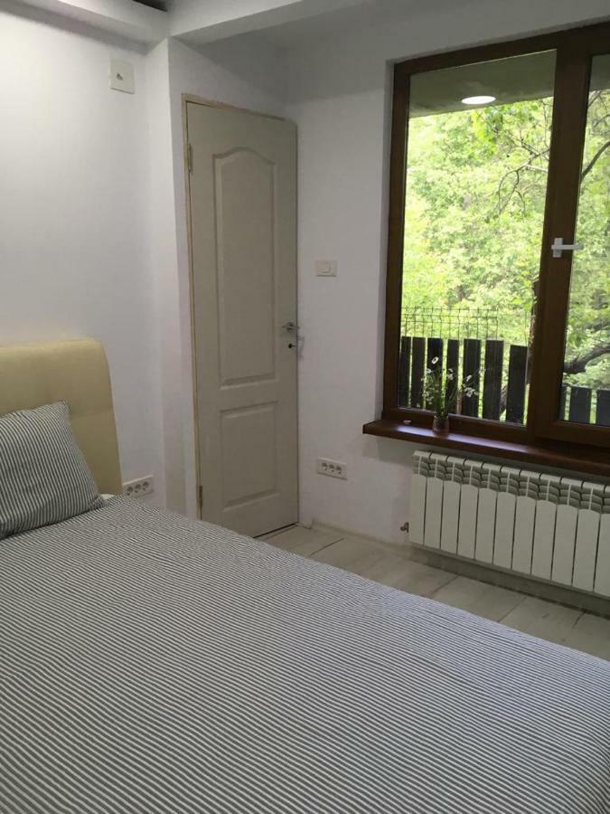 Forest Vibes Spa Cimpu lui Neag Экстерьер фото