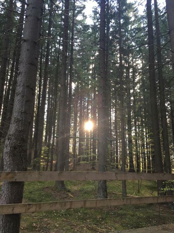 Forest Vibes Spa Cimpu lui Neag Экстерьер фото