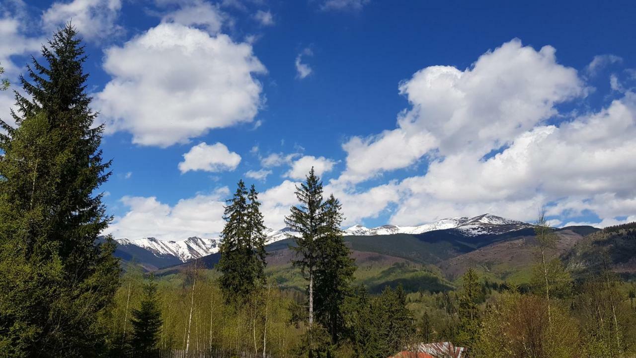 Forest Vibes Spa Cimpu lui Neag Экстерьер фото