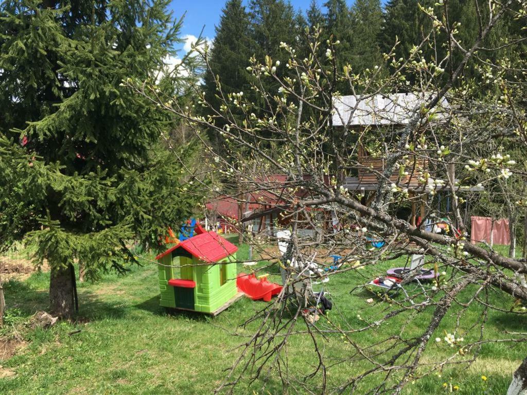 Forest Vibes Spa Cimpu lui Neag Экстерьер фото
